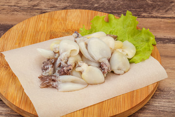 Raw seafood - cuttlefish for cooking