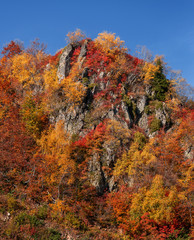 Autumn in the mountains. A rock in colorful trees. Mountain autumn landscape.
