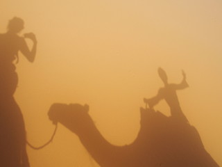Shadows of people riding camels, Sahara Desert, Merzouga, Morocco