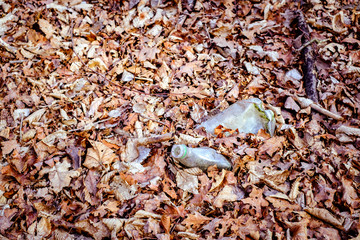 The concept of environmental pollution by human life products. Garbage from domestic waste polluted autumn forest. Dumbrava forest, Sibiu,