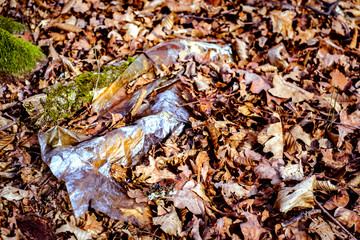 The concept of environmental pollution by human life products. Garbage from domestic waste polluted autumn forest. Dumbrava forest, Sibiu,