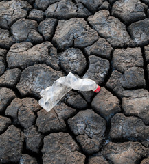 Wrinkled plastic bottle on the ground