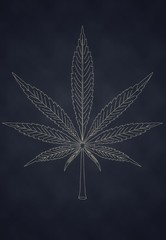 marijuana cannabis leaf