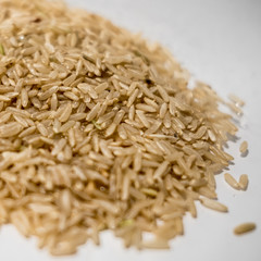 rice on a white background