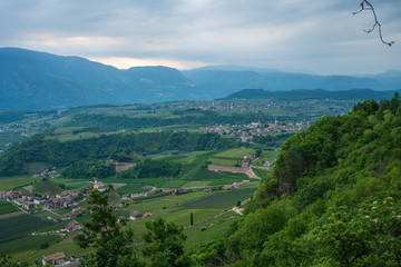 Fototapeta premium View of Bolzano and the surrounding villages of the high mountain hiking trail in Appiano in Italian South Tyrol.