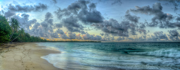 Exotic Antilles beach with palm tree on the Martinique Tropical beach at sunrise