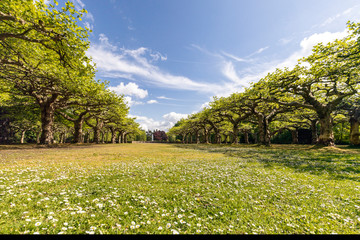 Krefeld - View from House Schoenwasser at springtime towards fountain, North Rhine Westphalia, Germany