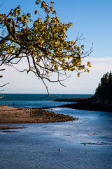 Acadia National Park