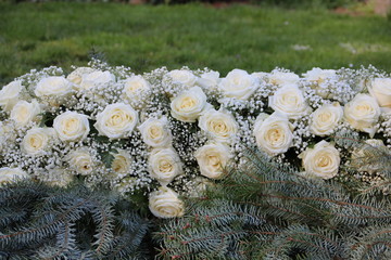 Weiße Rosen nach Beerdigung auf dem Friedhof