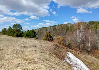 remnants of melting snow on a slope with shrubs and trees against the background of a forest and a blue sky with beautiful clouds