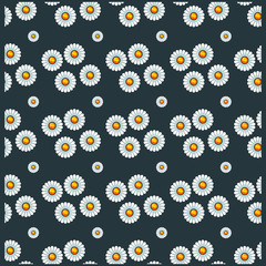 Fototapeta na wymiar Cute pattern with daisies and chamomiles. Seamless vector print with small flowers. Summer textile collection