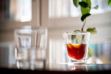 Glass of black filter coffee hario pour over sunlight daylight coffee house leaves cafe