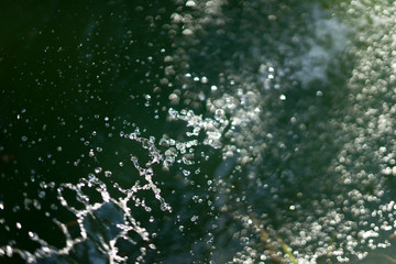water splash and drops on dark green background