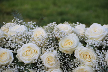 Weiße Rosen nach Beerdigung auf dem Friedhof