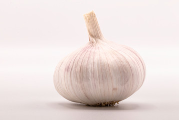 Close up of garlic isolate on white background.