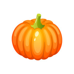 Ripe orange pumpkin, vector icon, fresh and healthy vegetables.