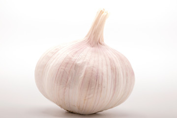 Close up of garlic isolate on white background.