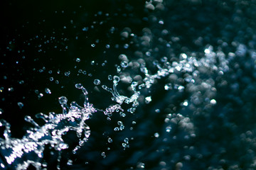 water splash and drops on dark blue background