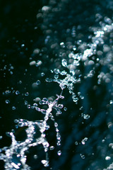 water splash and drops on dark blue background
