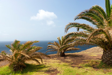 Punta de Sao Lourenco, Madeira Island, Portugal