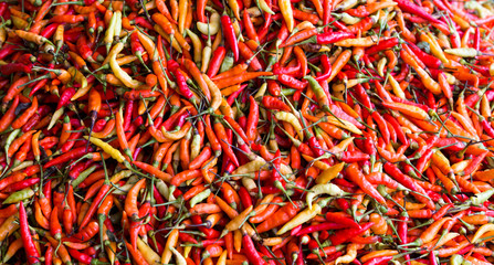 Fototapeta premium Background of hot red peppers