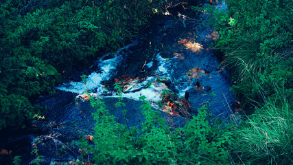 Colorful river in the forest - obrazy, fototapety, plakaty