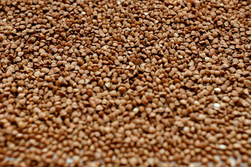 buckwheat. fresh buckwheat. dry buckwheat background. buckwheat texture