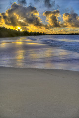 foot steps on the Exotic Antilles beach with palm tree in the Martinique at sunrise