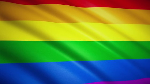 Minority flag close-up. Fluttering in the wind. Looped video footage. 4K. HD