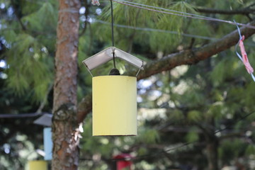 colorful lanterns in the forest

