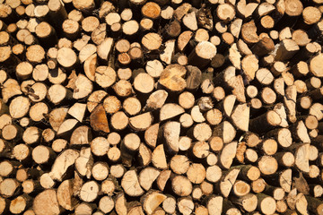 Stack of firewood