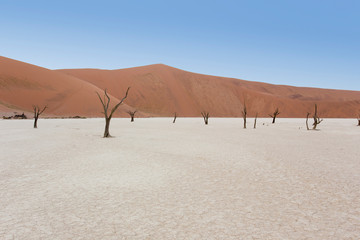 Deadvlei view at morning