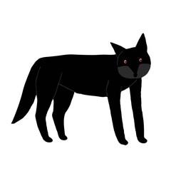 Black wolf isolated on white background. Wild dark dog drawn by hand. Funny animal. Cute design for print. Stock vector illustration.