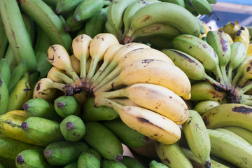 Bunches of banana at market