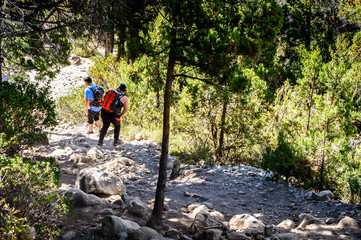 Obraz premium Person walking down the mountain on a sunny summer day. Bariloche.