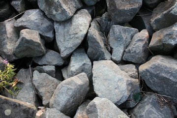 Steine Ufer / Stones shore