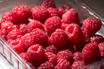 Several fresh raspberries in a clear plastic tub.