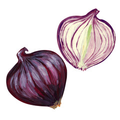 Red onion with half on a white background. Hand-drawn illustration.