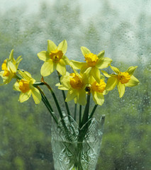 A bunch of yellow daffodils on the window. Close-up, still life.