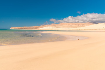 paradisiacal tropical beach on the dunes
