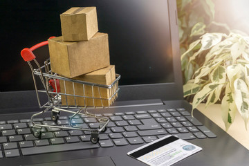 online shopping concept. little shopping cart, boxes, colorful bags, bank card, dollars stand on laptop