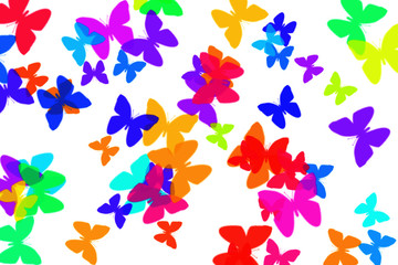 Fototapeta premium farfalle colorate 