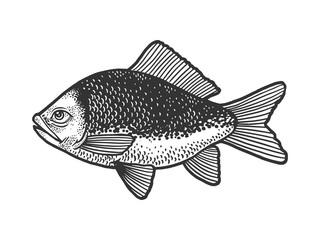 Fish with human eye sketch engraving vector illustration. T-shirt apparel print design. Scratch board imitation. Black and white hand drawn image.