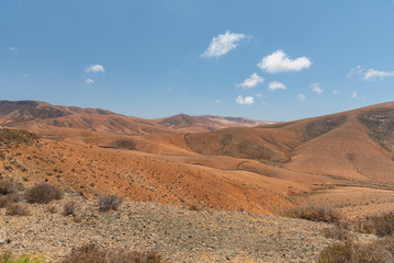 desert landscape in the desert