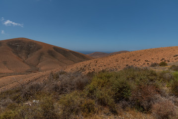 desert landscape in the desert