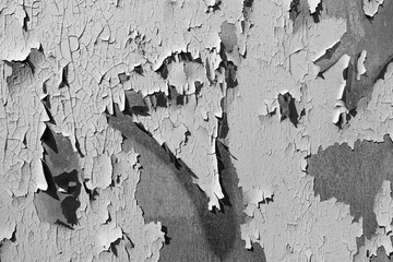 Background texture. Old paint bursts and crumbles from an iron sheet, forming a beautiful three-dimensional pattern. monochrome