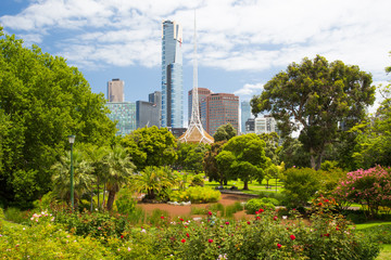Naklejka premium Melbourne Skyline Thru Queen Victoria Gardens
