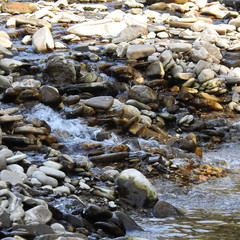 Obraz premium on the river