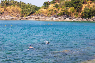 A group of people swim with masks on the surface of the water. The view from the top