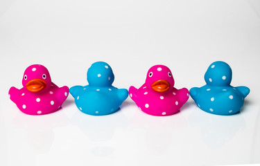 Pink and Blue Ducks